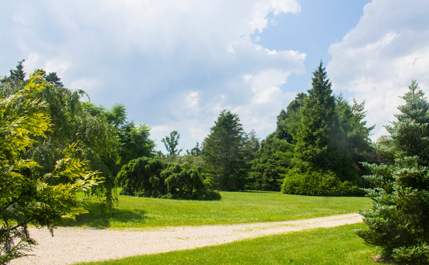 Arboretum / Pinetum Lucus Augusti, Spain
